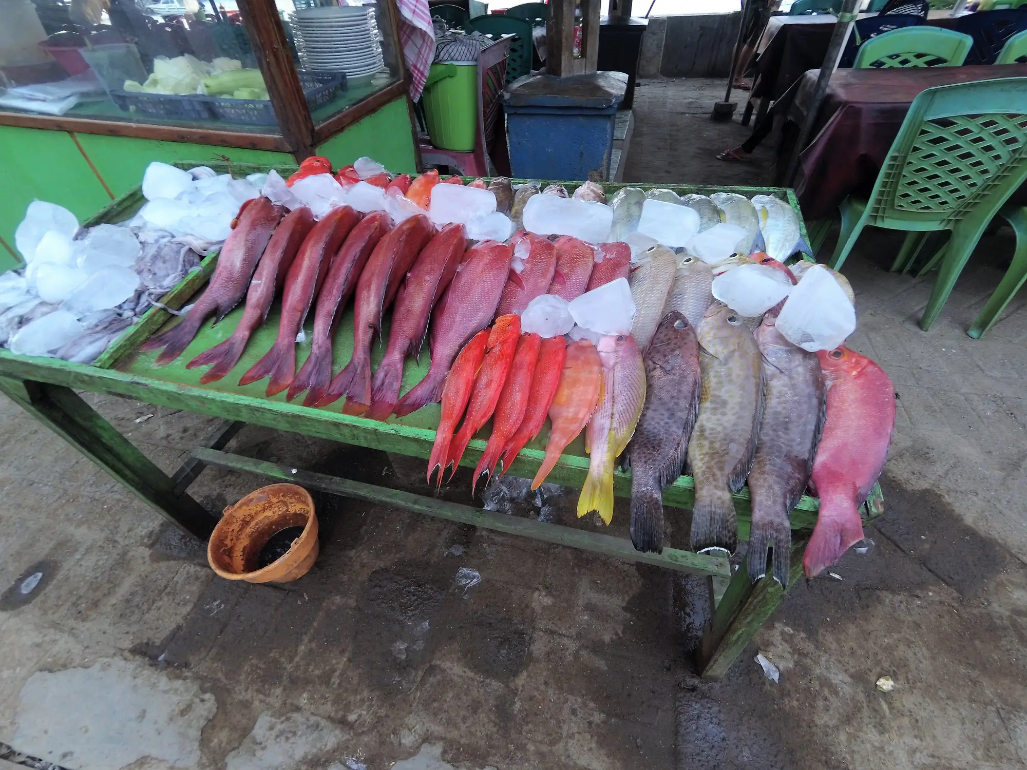 Labuan Bajo seafood selection